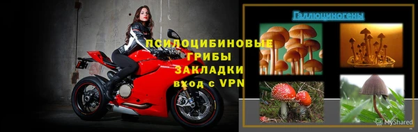 прущая мука Абаза