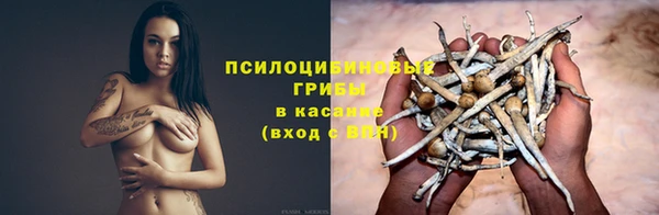 прущая мука Абаза