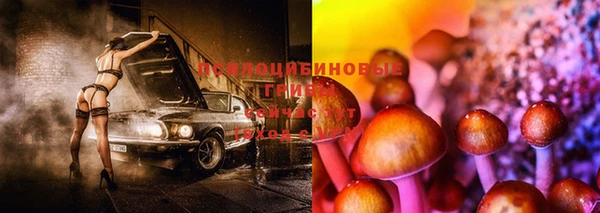 прущая мука Абаза