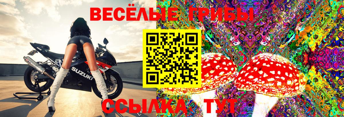 Галлюциногенные грибы GOLDEN TEACHER  где продают наркотики  Шумерля  Вход с VPN  Псилоцибиновые грибы мицелий 